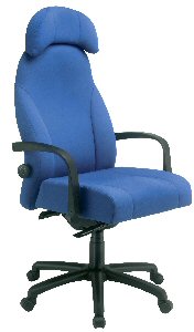 Specialist Executive Chairs